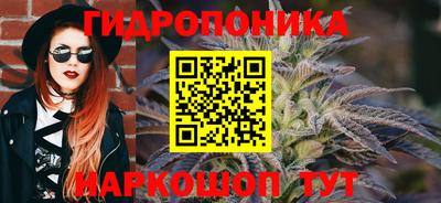 ГАЛЛЮЦИНОГЕННЫЕ ГРИБЫ Краснокаменск