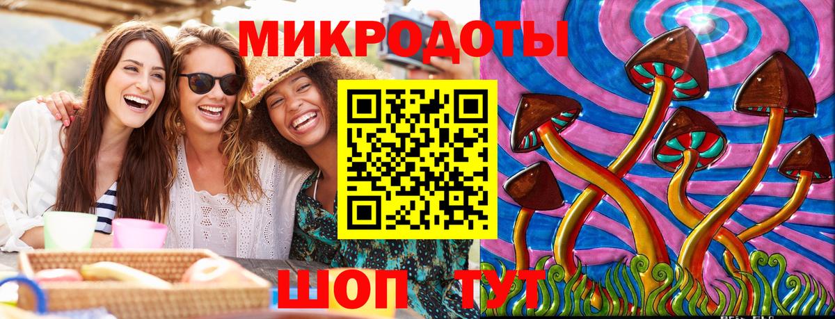 Галлюциногенные грибы Cubensis Канаш