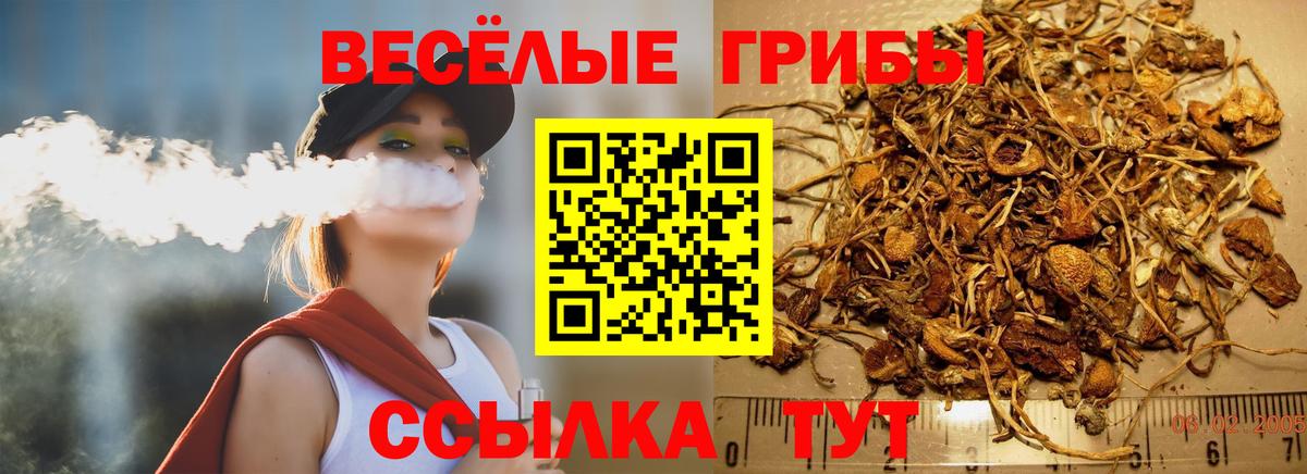Галлюциногенные грибы Psilocybe  наркота  Канаш  Вход с VPN 